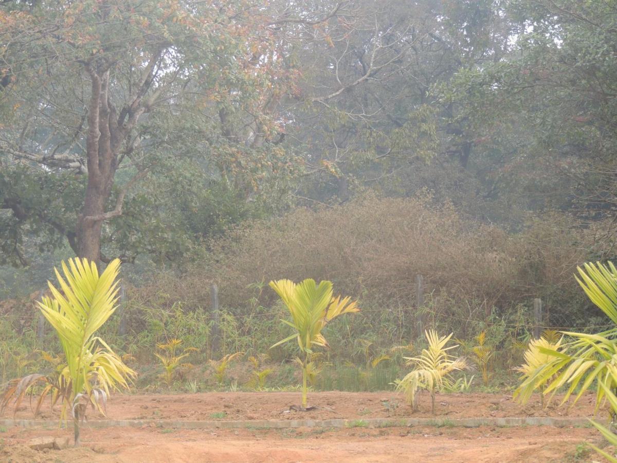 Апартаменты Dandeli Aura Экстерьер фото